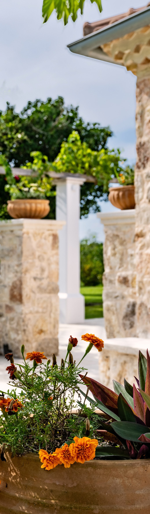 Garden & outdoor spaces — Villa SensiTerra