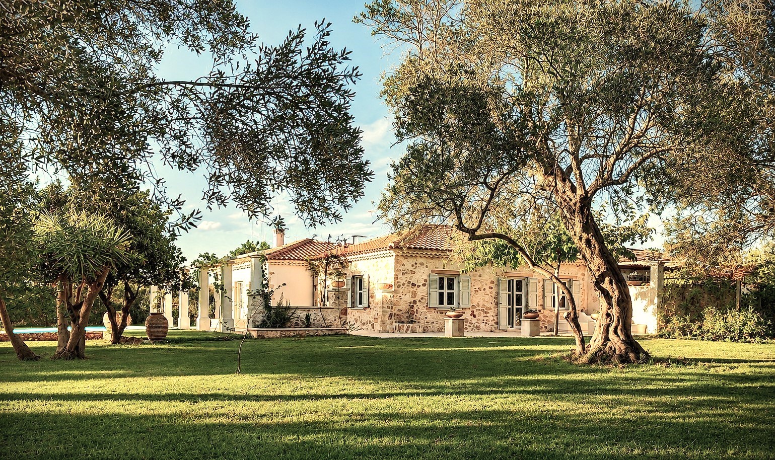 Villa SensiTerra among the olive trees